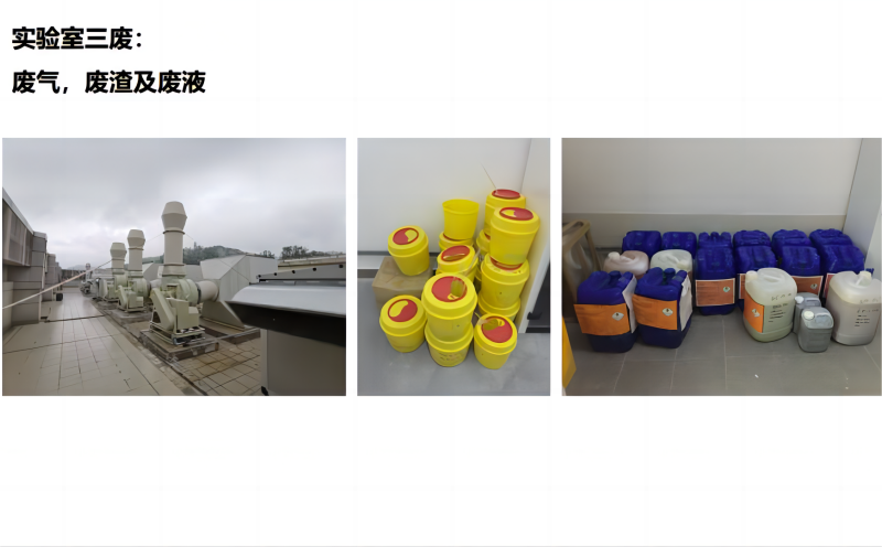 草莓视频污在线观看三廢