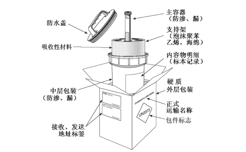 草莓视频污在线观看病源微生物運輸